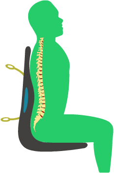 Spine Animation